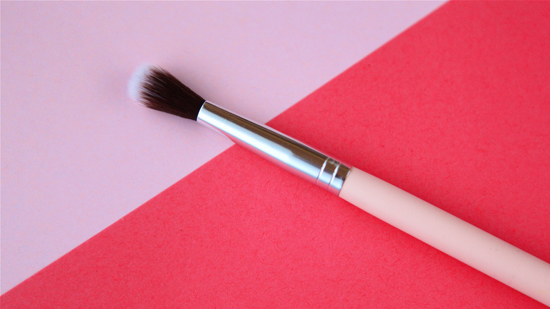 eyeshadow brush against pink background