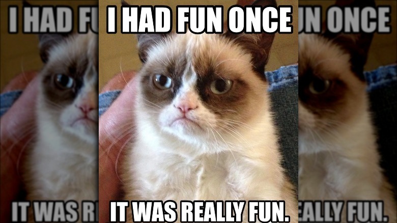 Grumpy Cat meme