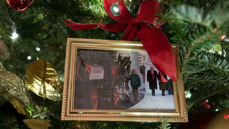 Donald Trump's photo in the Biden White House tree 