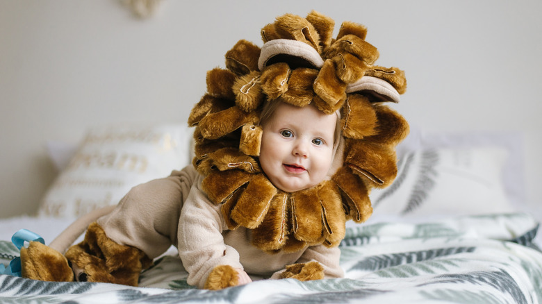 Baby boy dressed as a lion