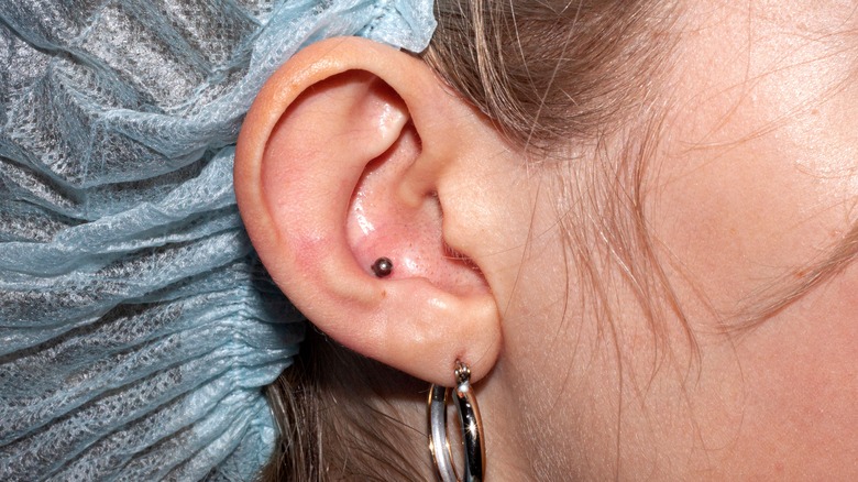 conch piercing