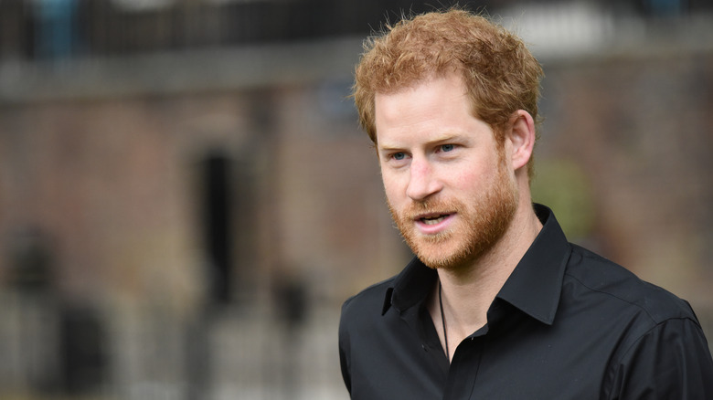 Prince Harry posing 