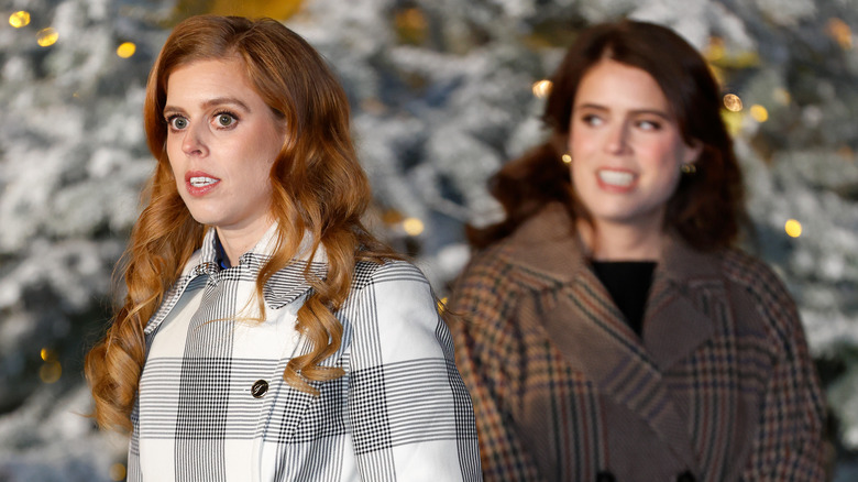 Princesses Beatrice and Eugenie concerned