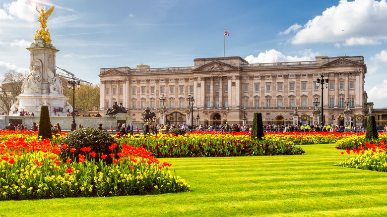 Buckingham Palace gardens 