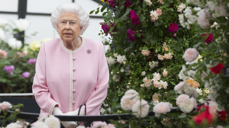 Queen Elizabeth standing in the middle of her rose garden