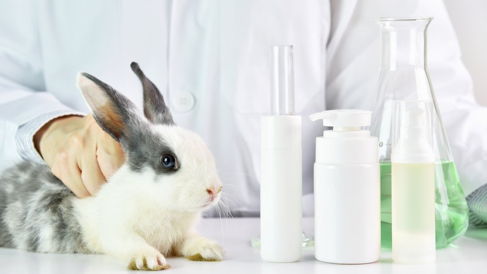 Bunny sitting next to cosmetics