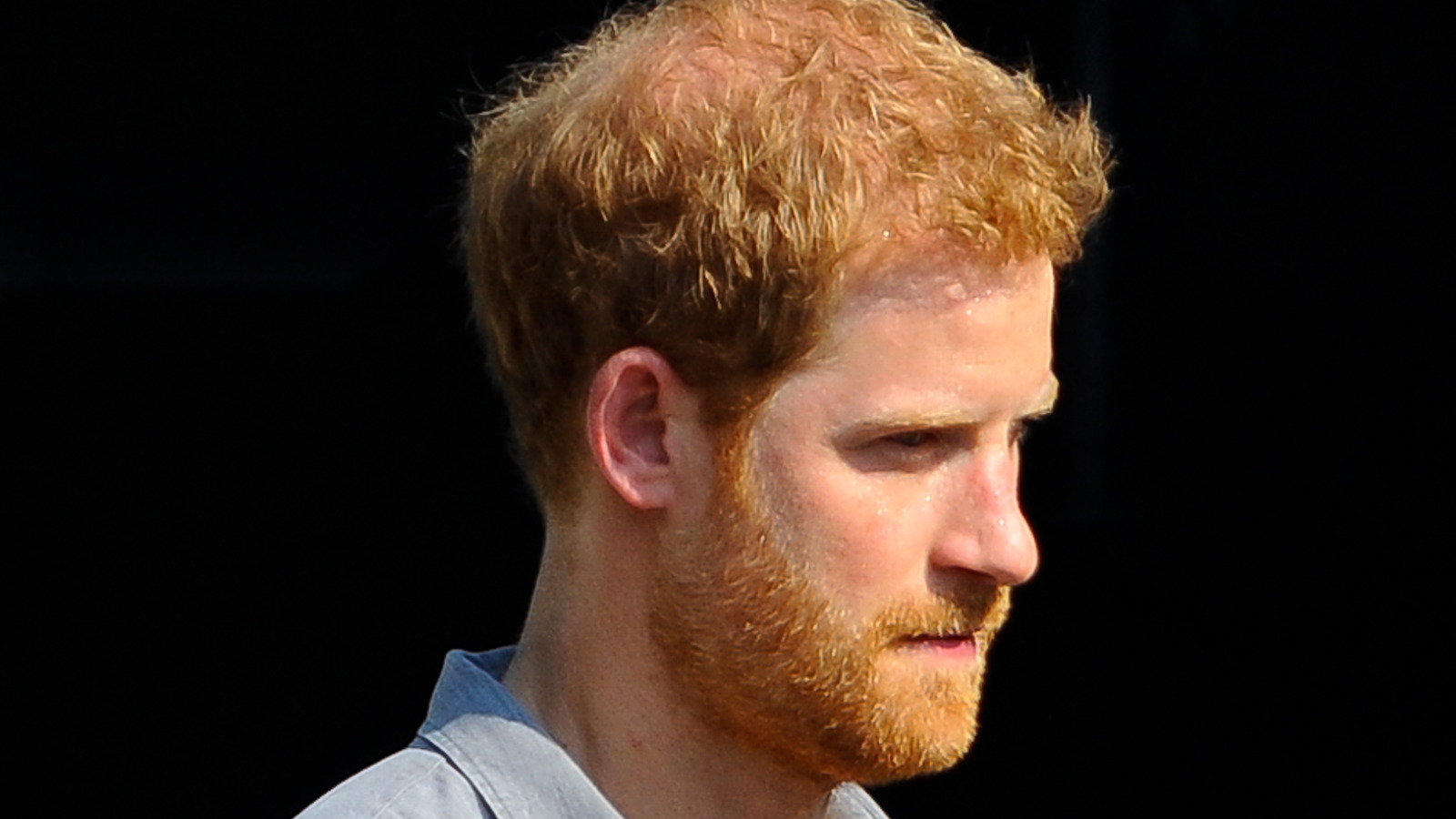 The Real Reason A Royal Biographer Is Concerned About Prince Harry