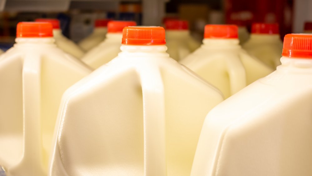 Gallon jugs of milk in a supermarket