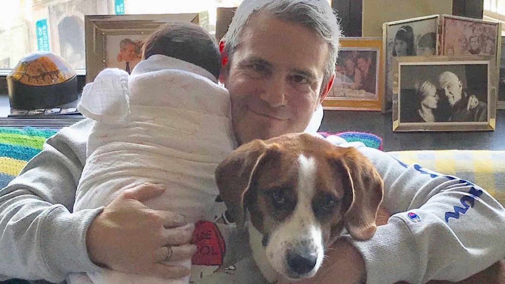 Andy Cohen with his dog and son