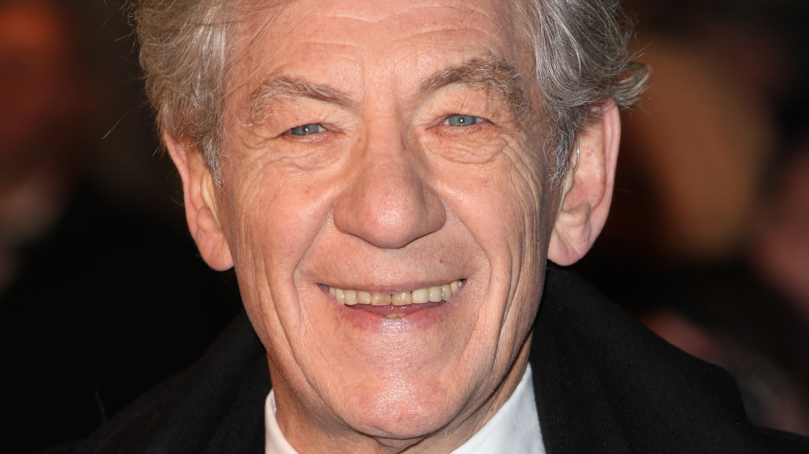 The Real Reason Ian McKellen Turned Down The Role Of Dumbledore In ...