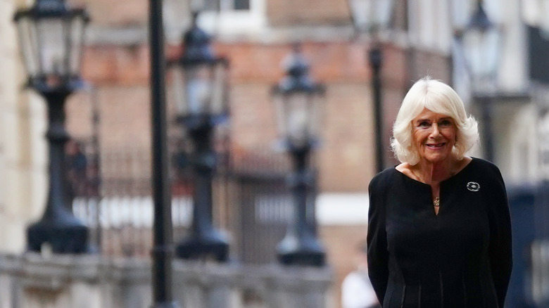 Camilla at Clarence House