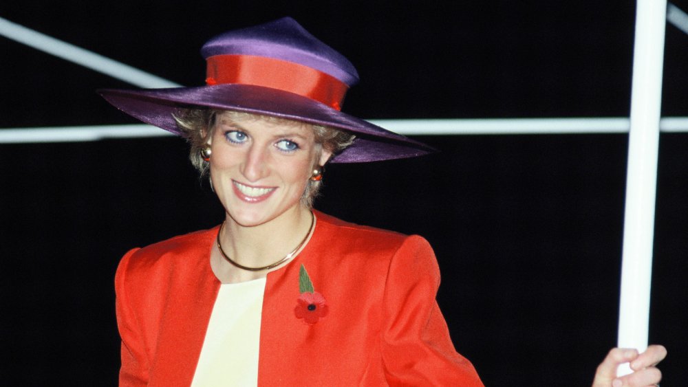 Princess Diana Rebel 