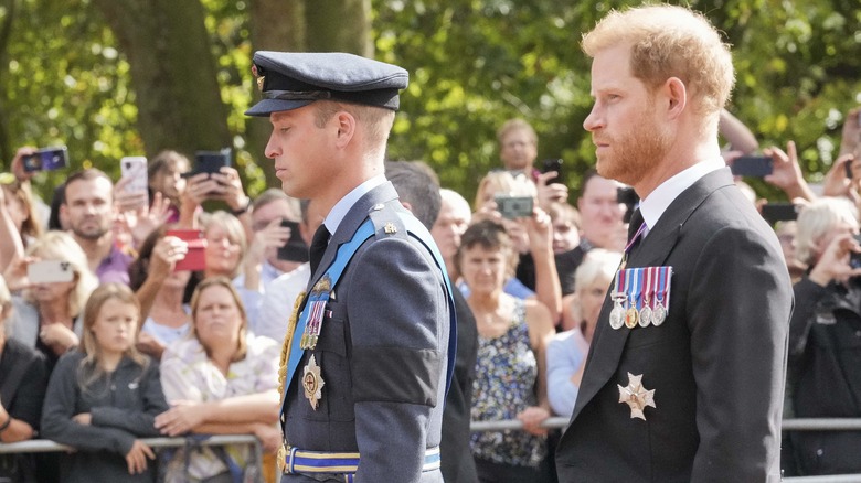 Prince William and Prince Harry walking