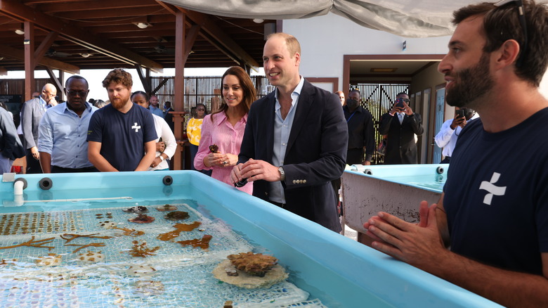 Prince William and Catherine Middleton visiting Coral Vita