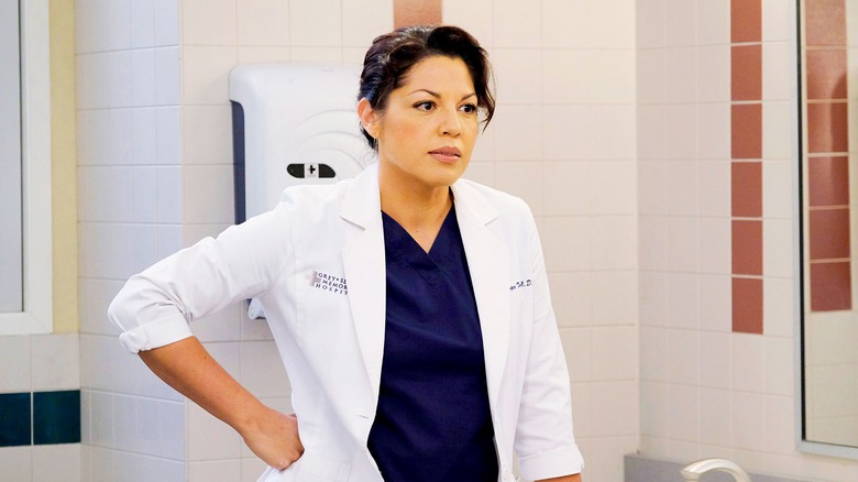 Grey's Anatomy star Sara Ramirez