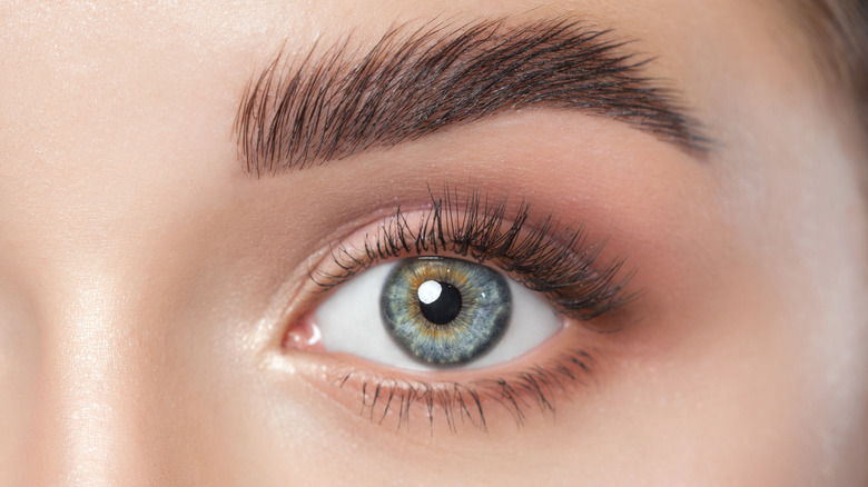 Why You Shouldn't Use Vaseline For Eyelash Growth