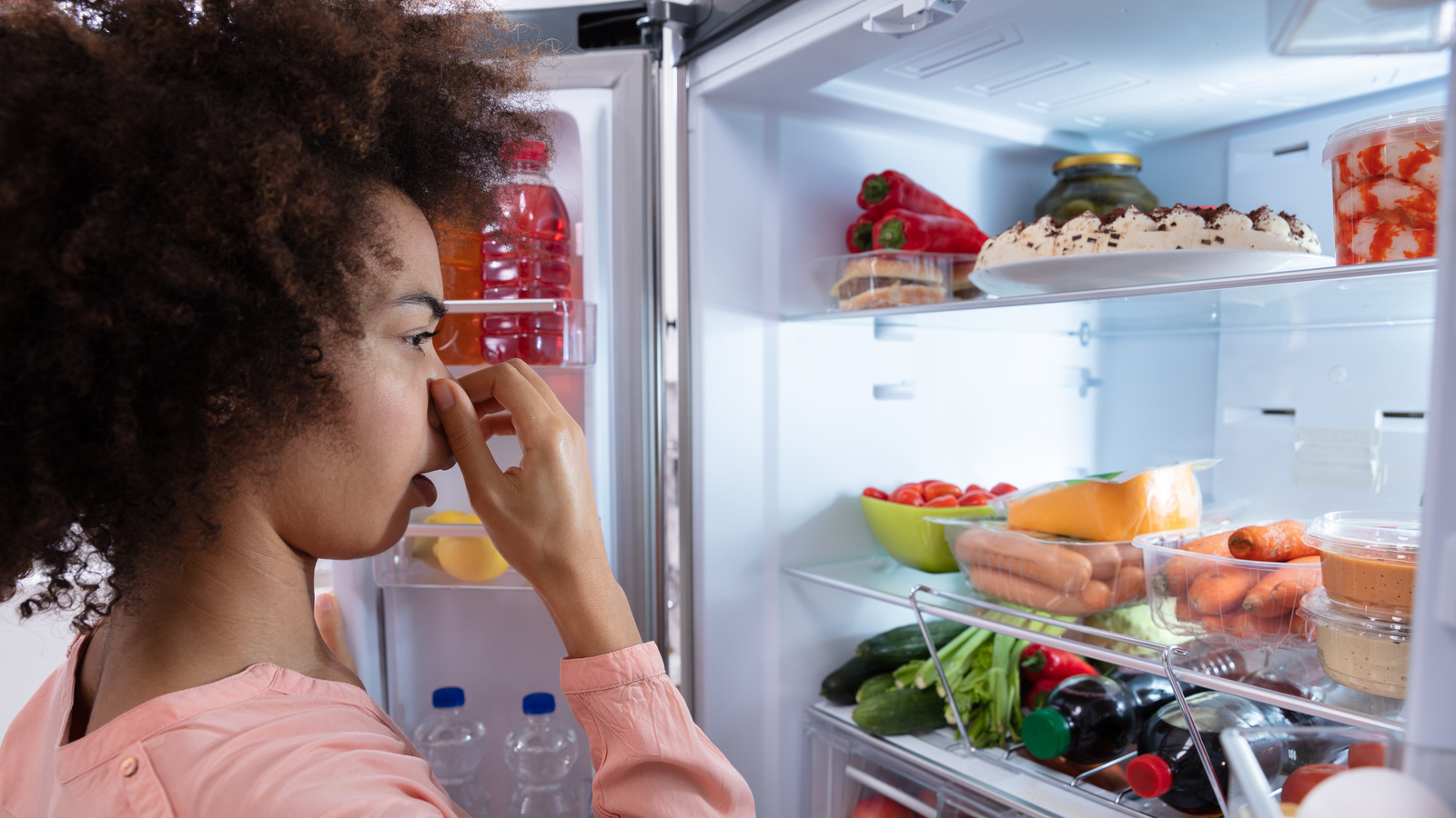 The Real Reason Your Fridge Smells Bad And What To Do About It