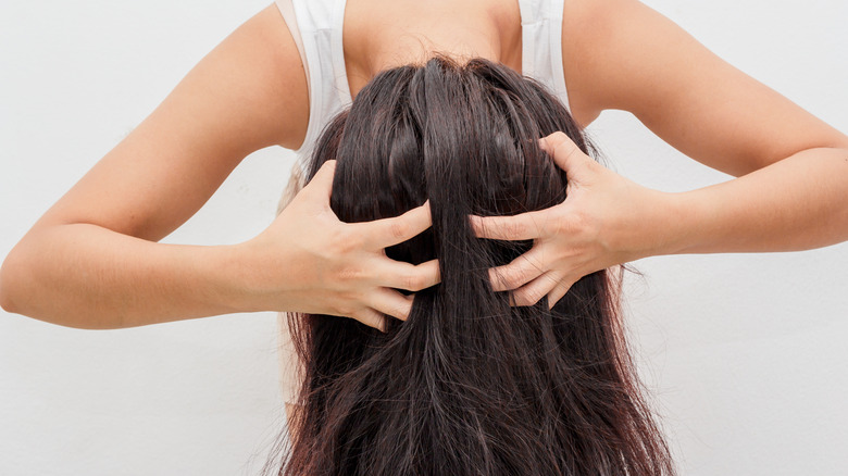 Woman massaging dry shampoo into her scalp 