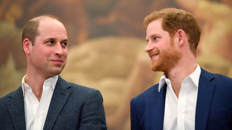 William and Harry regard each other