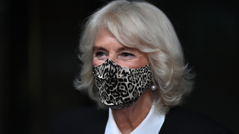 Camilla in animal-print mask