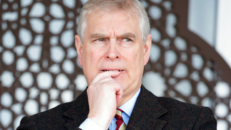 Prince Andrew looking deep in thought