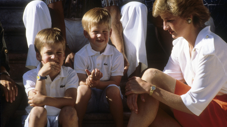 Prince WIlliam, Prince Harry, and Princess Diana