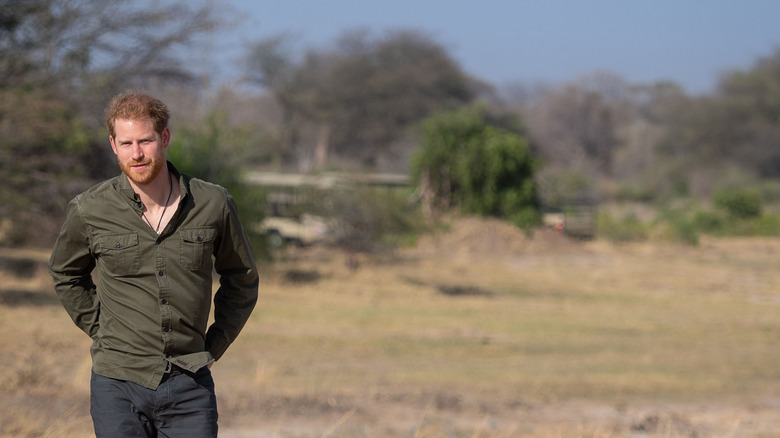 Prince Harry in Botswana