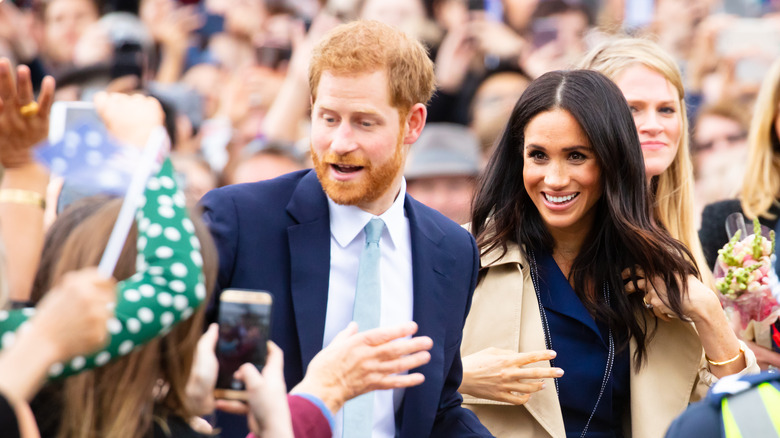 Harry and Meghan photographed by public 