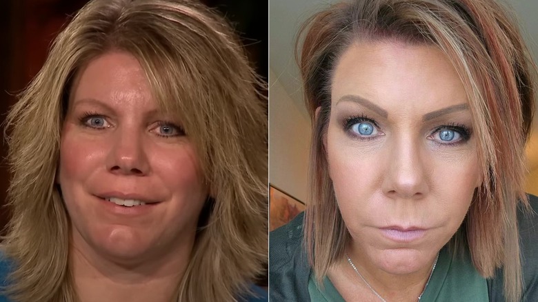 The Sister Wives Casts Most Stunning Transformations 