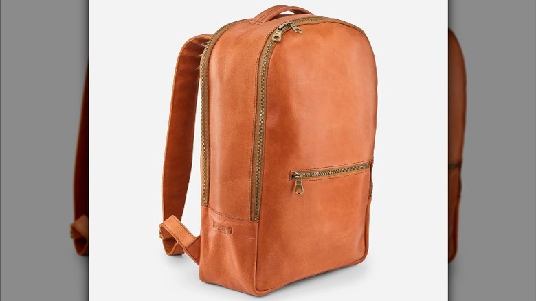 Parker Clay Atlas Backpack product shot