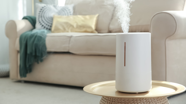 Humidifier in a living room