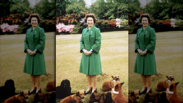 Queen Elizabeth with her corgis