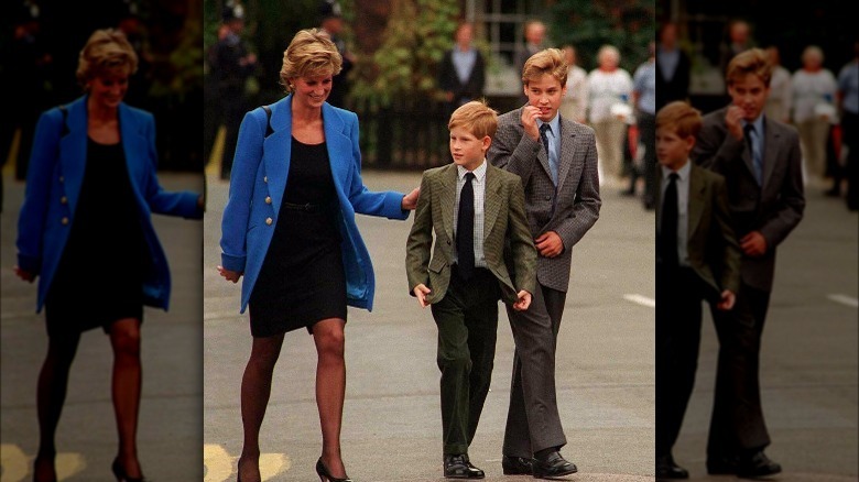 Princess Diana with her sons