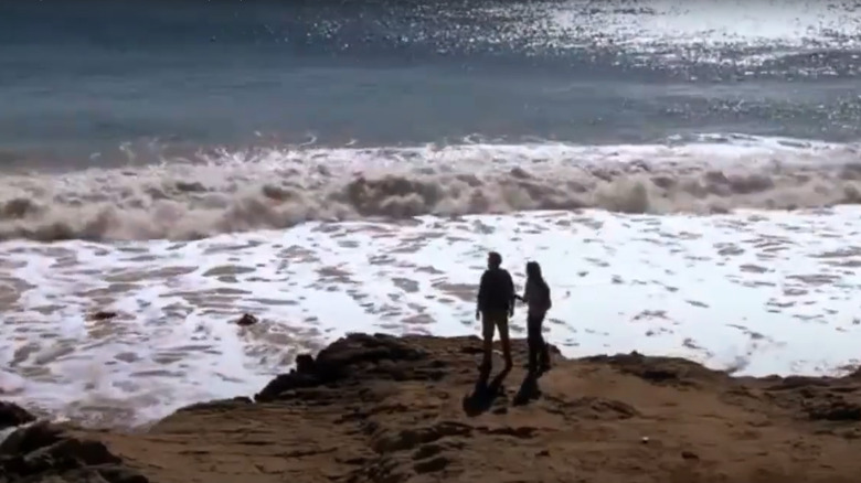 Liam and Quinn standing on an oceanside cliff