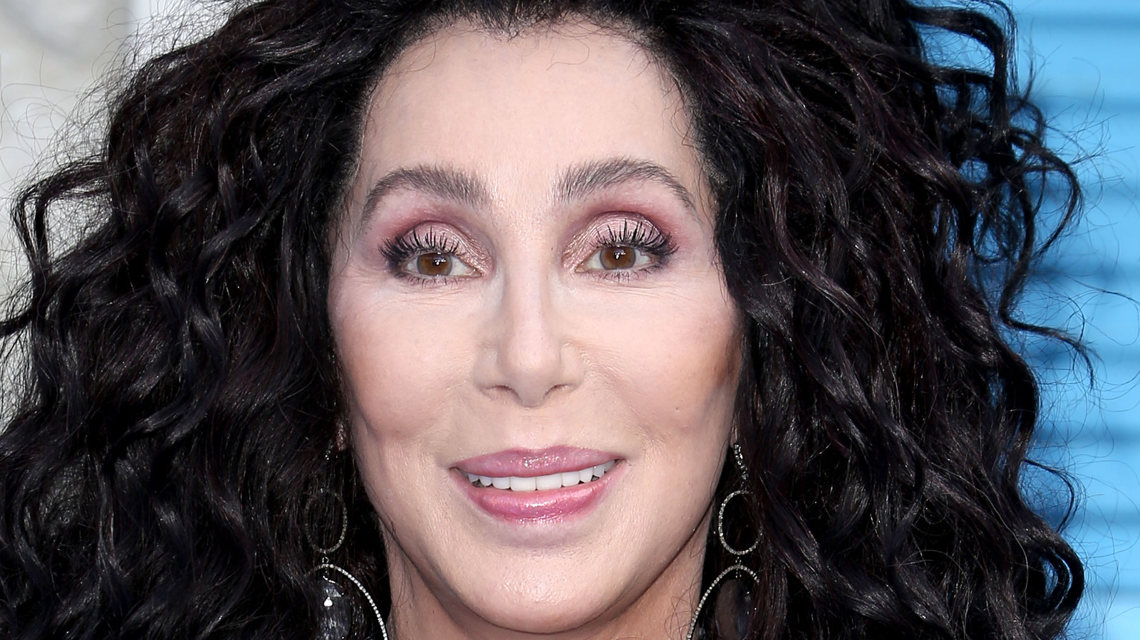 The Strange Incident That Led To Cher's Arrest