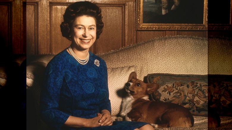 Young Queen Elizabeth blue dress smiling with corgi