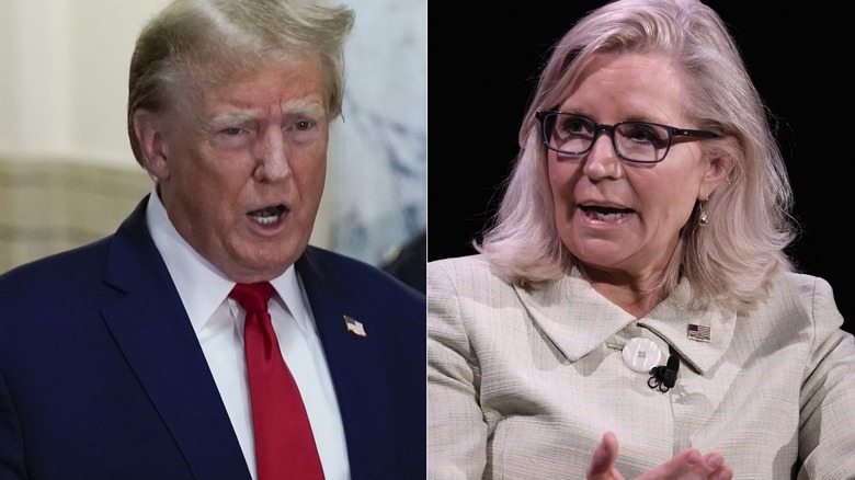 Left: Donald Trump speaking, Right: Liz Cheney speaking