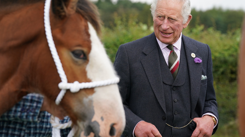 King Charles III and a horse 