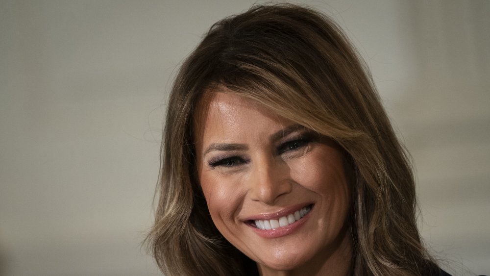 The Stunning Amount Of Money Melania Trump Has Made On Her Own