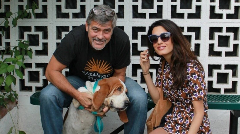 George Clooney and Amal Clooney