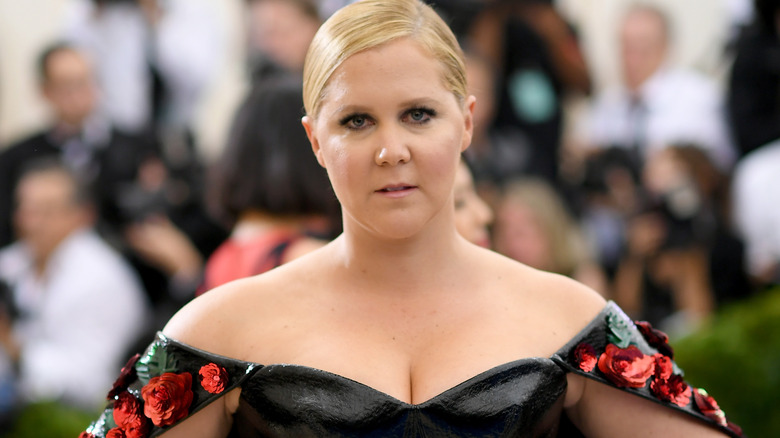 Amy Schumer at a gala