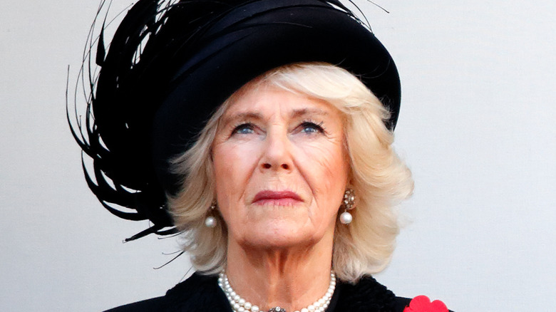 Camilla Parker Bowles looking up