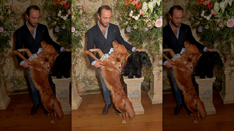 James Middleton with dogs at event