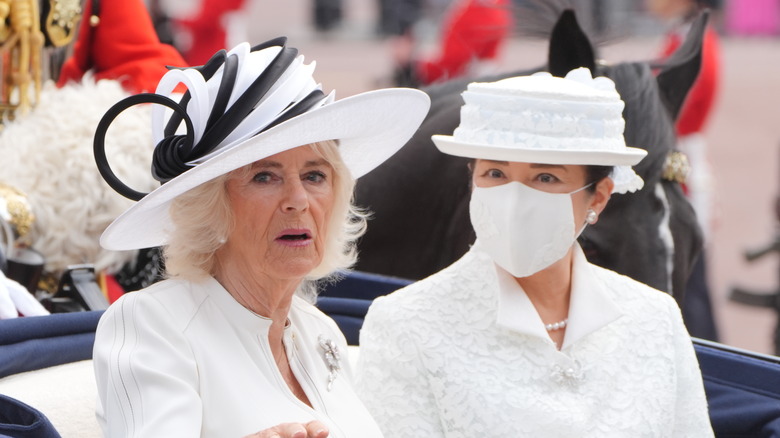 Queen Camillia and Empress Masako