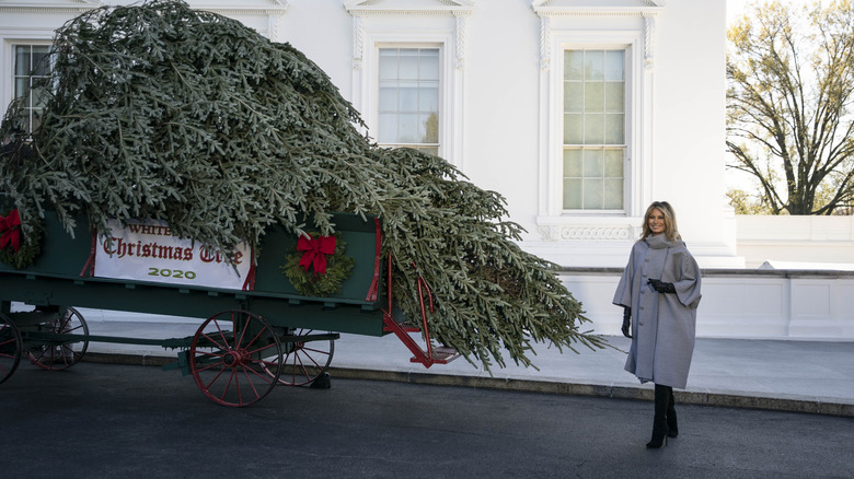 Melania Trump pictured with a Christmas tree