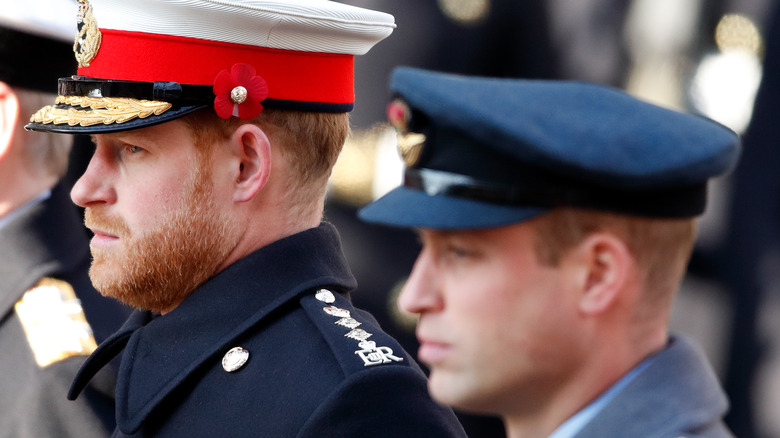 Prince Harry and Prince William 