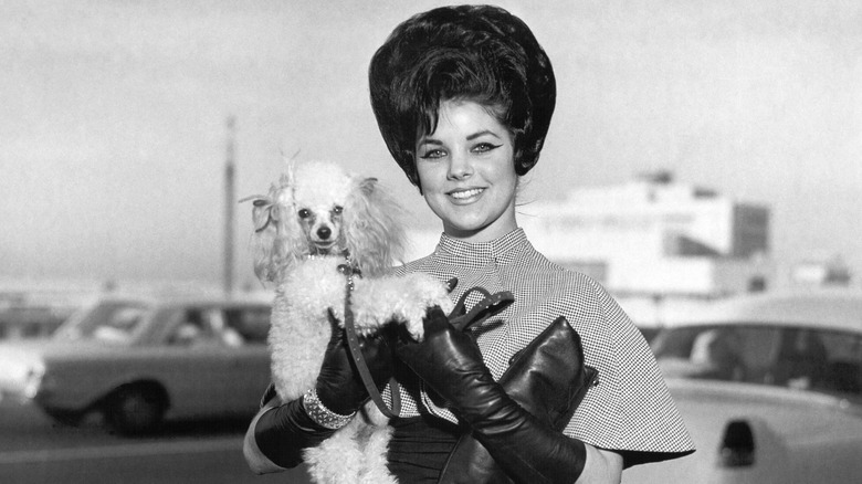 Priscilla Presley posing with her dog