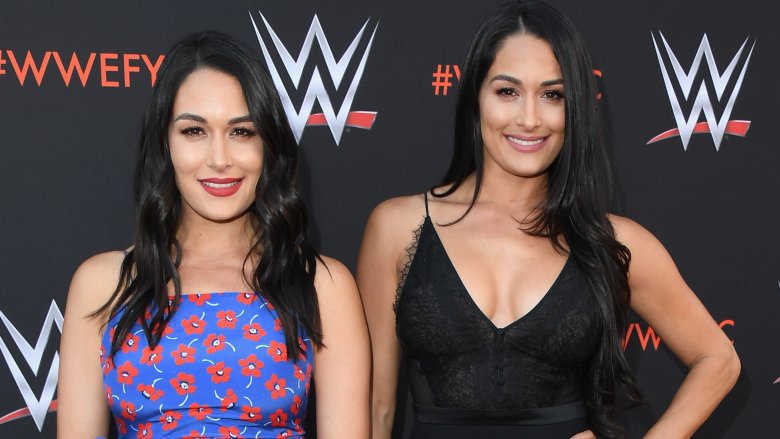 Nikki Bella and Brie Bella 