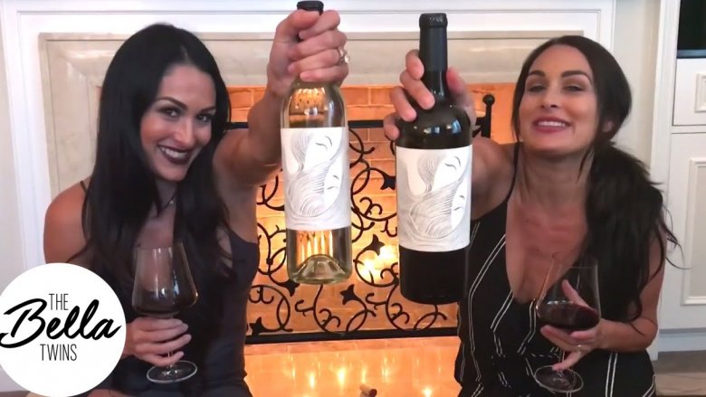 Nikki Bella and Brie Bella 