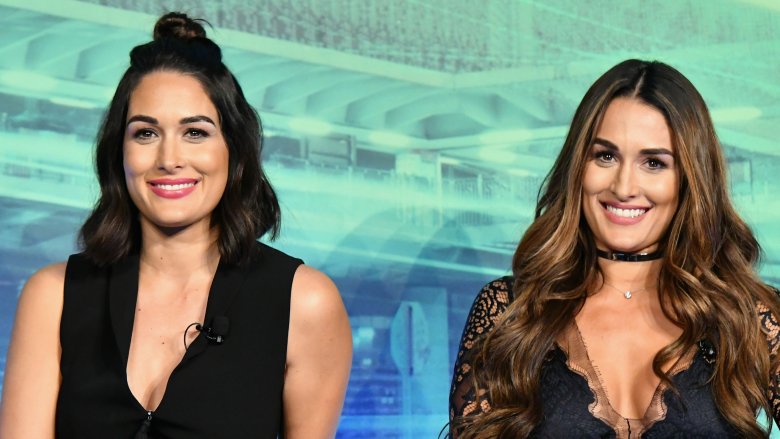 Nikki Bella and Brie Bella 